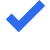 Blue tick icon